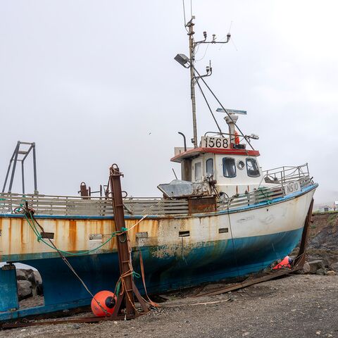 Schiffsarztkurs Spezifische Gefahrdungen an Bord von Seeschiffen