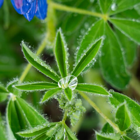 Offshore Schiffsarztkurs