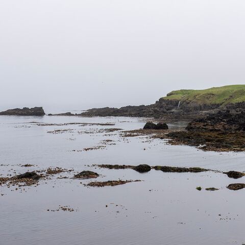 Schiffsarztkurs Gesetze und Internationale Übereinkommen in der Seefahrt