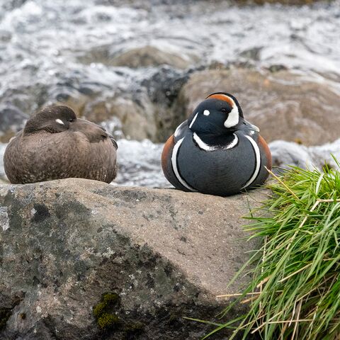 Maritime Medizin Ausbildung von Seeleuten