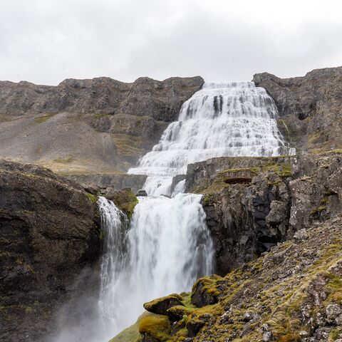 Curriculum Maritime Medizin Behandlungen im Ausland