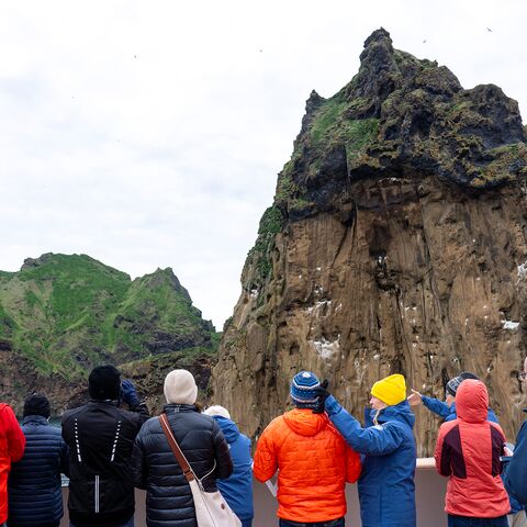 Curriculum Medizin Behandlungen im Ausland