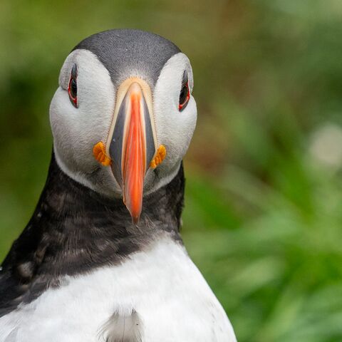 Curriculum Medizin Hygiene und Desinfektion an Bord
