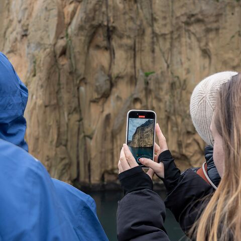 Curriculum Medizin Pravention Gesundheitsschutz