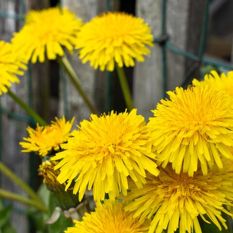 Maritime Medizin Pravention Gesundheitsschutz