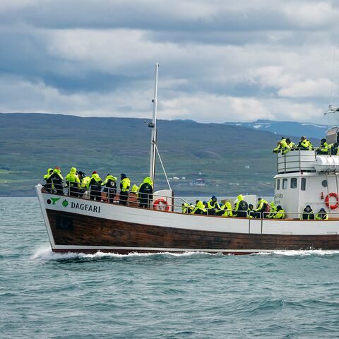 Schiffsarzt Kompaktkurs Maritime Medizin