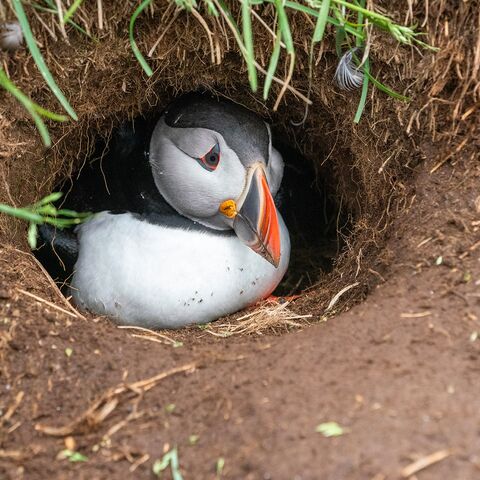 Maritime Medizin Curriculum Arbeitsplatz See