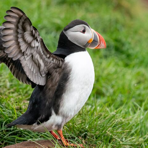 Schiffsarztkurs Institutionen in der Seefahrt und deren Aufgabenbereiche