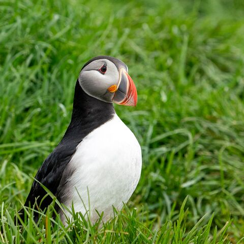 Pravention Gesundheitsschutz Schiffsarztkurs