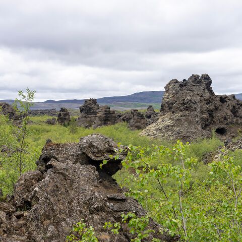 Curriculum Maritime Medizin Pravention Gesundheitsschutz