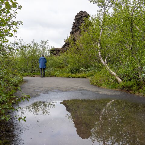 Spezifische Gefahrdungen an Bord von Seeschiffen Curriculum Maritime Medizin