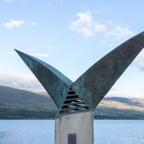 Kompaktkurs Hygiene und Desinfektion an Bord