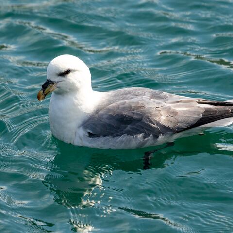 Maritime Medizin Arbeitsplatz See