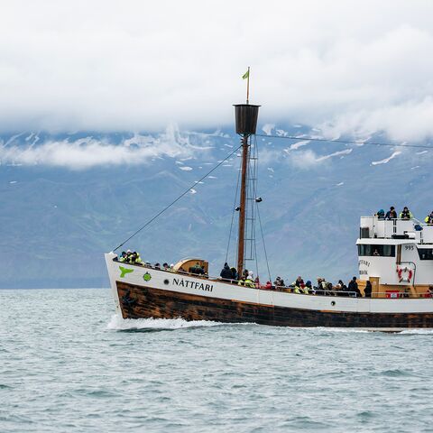Organisation der Medizinischen Versorgung auf Seeschiffen Kompaktkurs Maritime