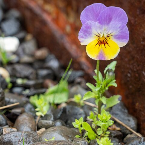 Schiffsarztkurs Offshore