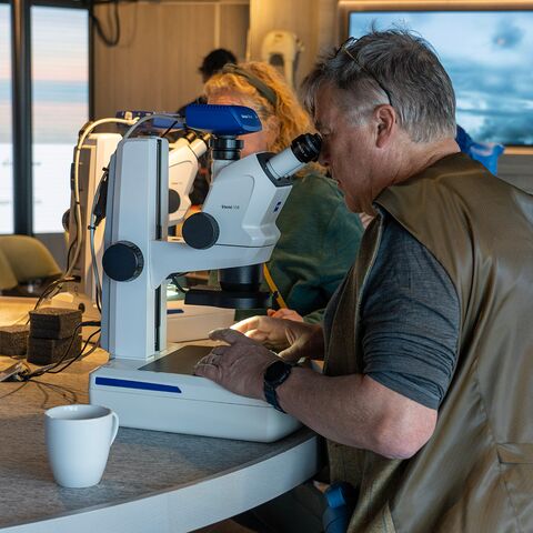 Maritime Medizin Organisation der Medizinischen Versorgung auf Seeschiffen