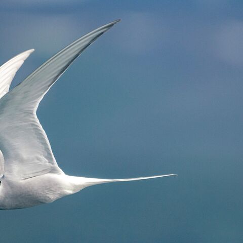 Kompaktkurs Maritime Medizin Ausbildung von Seeleuten