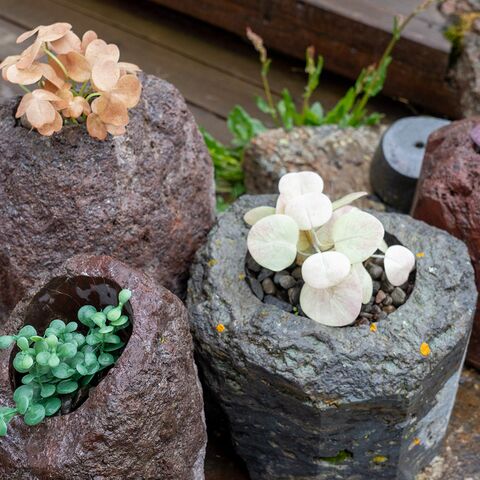 Medizinische Ausstattung und Raumlichkeiten an Bord Schiffsarztkurs