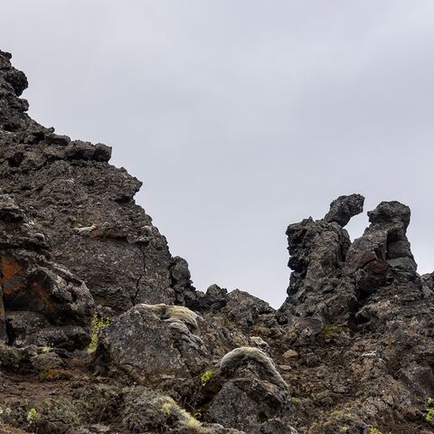 Curriculum Institutionen in der Seefahrt und deren aufgabenbereiche