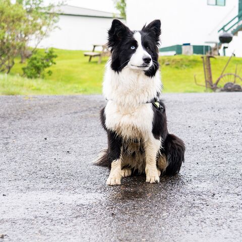 Spezifische Gefahrdungen an Bord von Seeschiffen Maritime Medizin