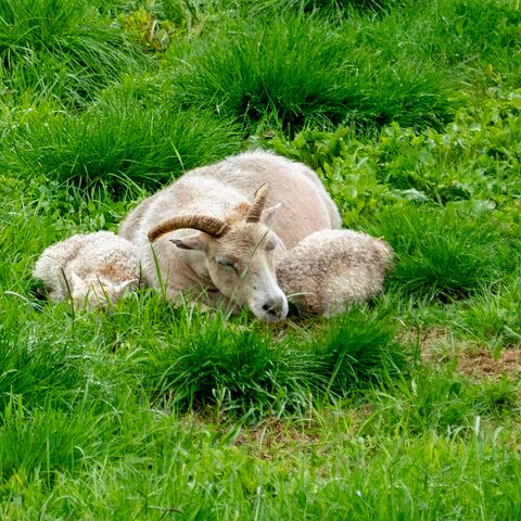 Kompaktkurs Maritime Medizin Medizinische Ausstattung und Raumlichkeiten an Bord