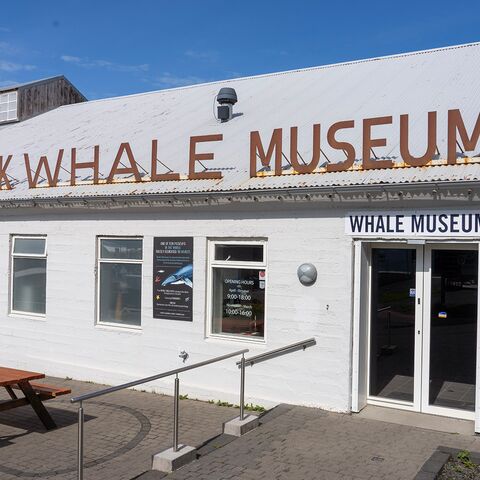 Kompaktkurs Maritime Medizin Tauchmedizin