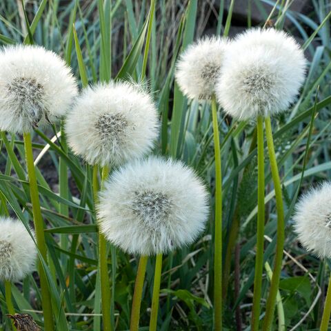 Pravention Gesundheitsschutz Curriculum Maritime Medizin