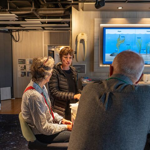 Verhalten bei Notfallen Seenotrettung Curriculum Maritime Medizin